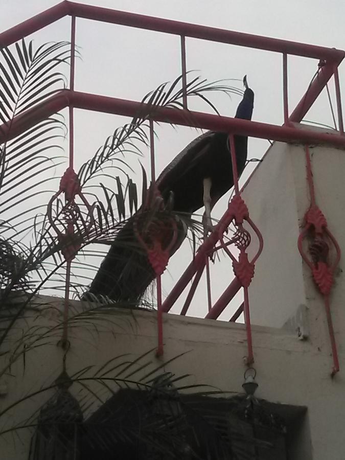 Jaypore House Bed and Breakfast New Delhi Exteriör bild